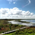 Why Kissimmee Families Should Consider Mediation Services With A Family Court Attorney